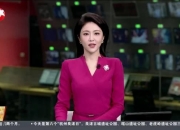 平博体育试玩-广东告急？深圳出招，直指辽宁大核的简单介绍