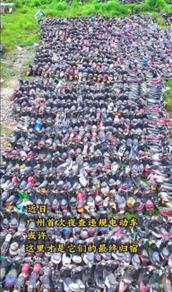 广东告急？深圳出招，直指辽宁大核的简单介绍